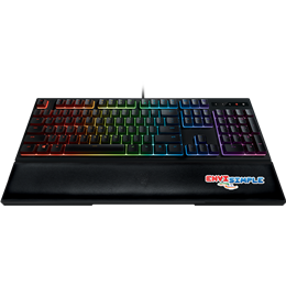 Razer ornata v2 (En)