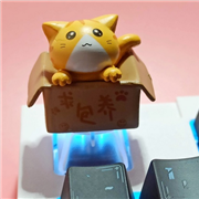 keycap Abs ลายแมว / ส้ม
