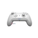 Razer Raiju Tournament Edition / Mercury  